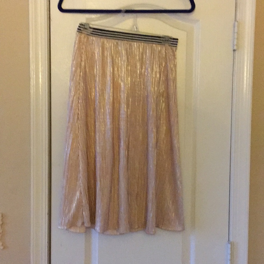 Treasure & Bond girls skirt xl